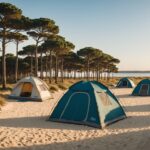 Meilleur camping a arcachon comment faire le bon choix